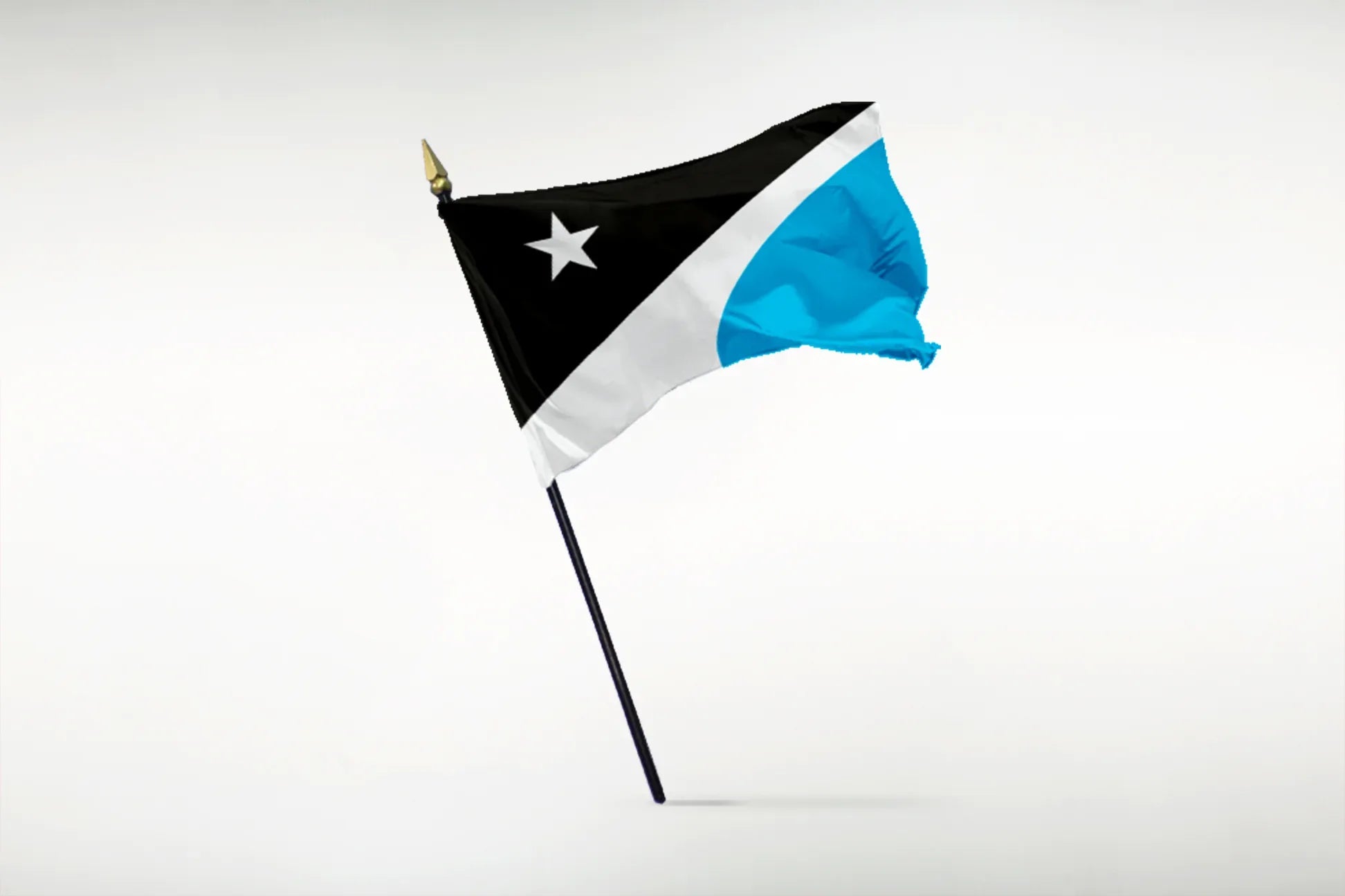 Detroit Rise | Stick Flags - BestFlag.com