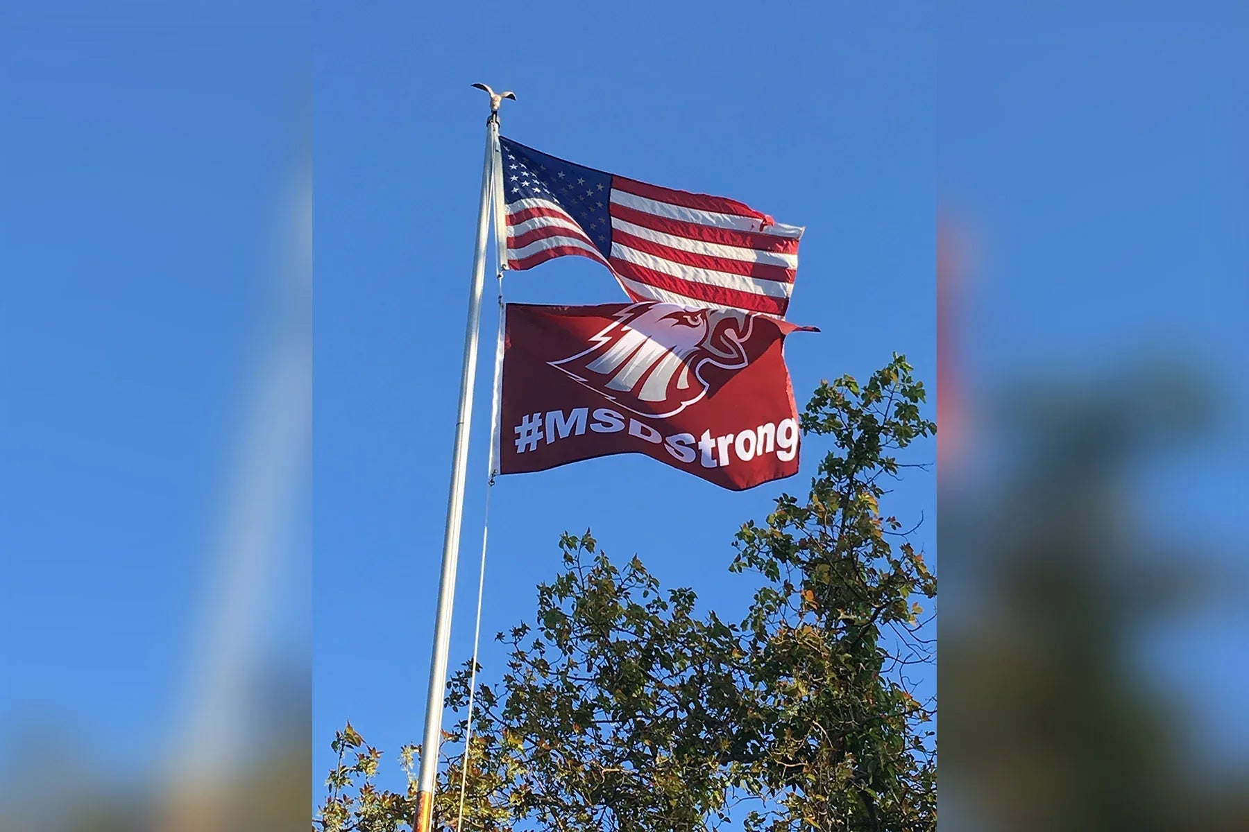 Stoneman Douglas #MSDStrong - BestFlag.com