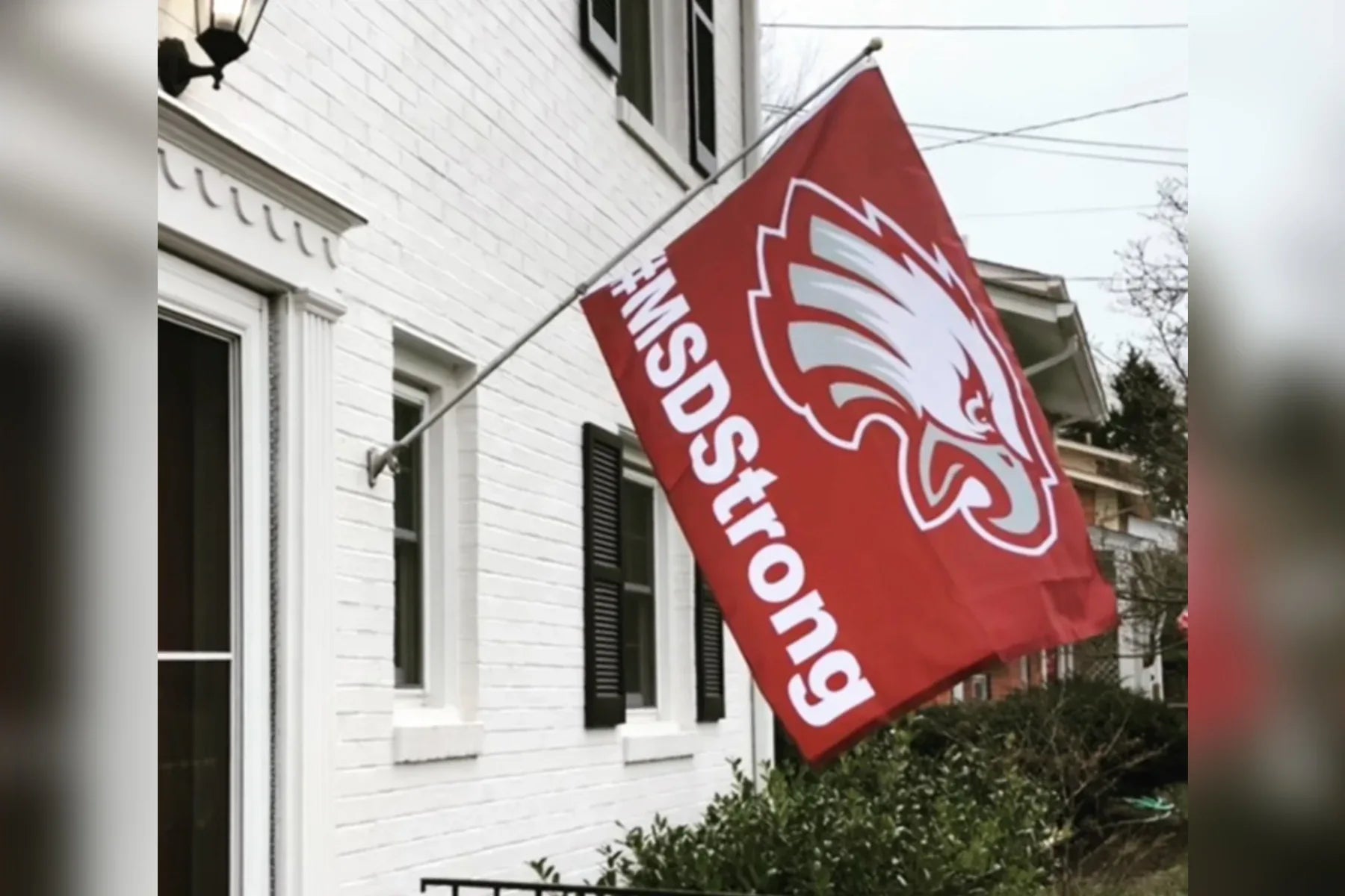 Stoneman Douglas #MSDStrong - BestFlag.com
