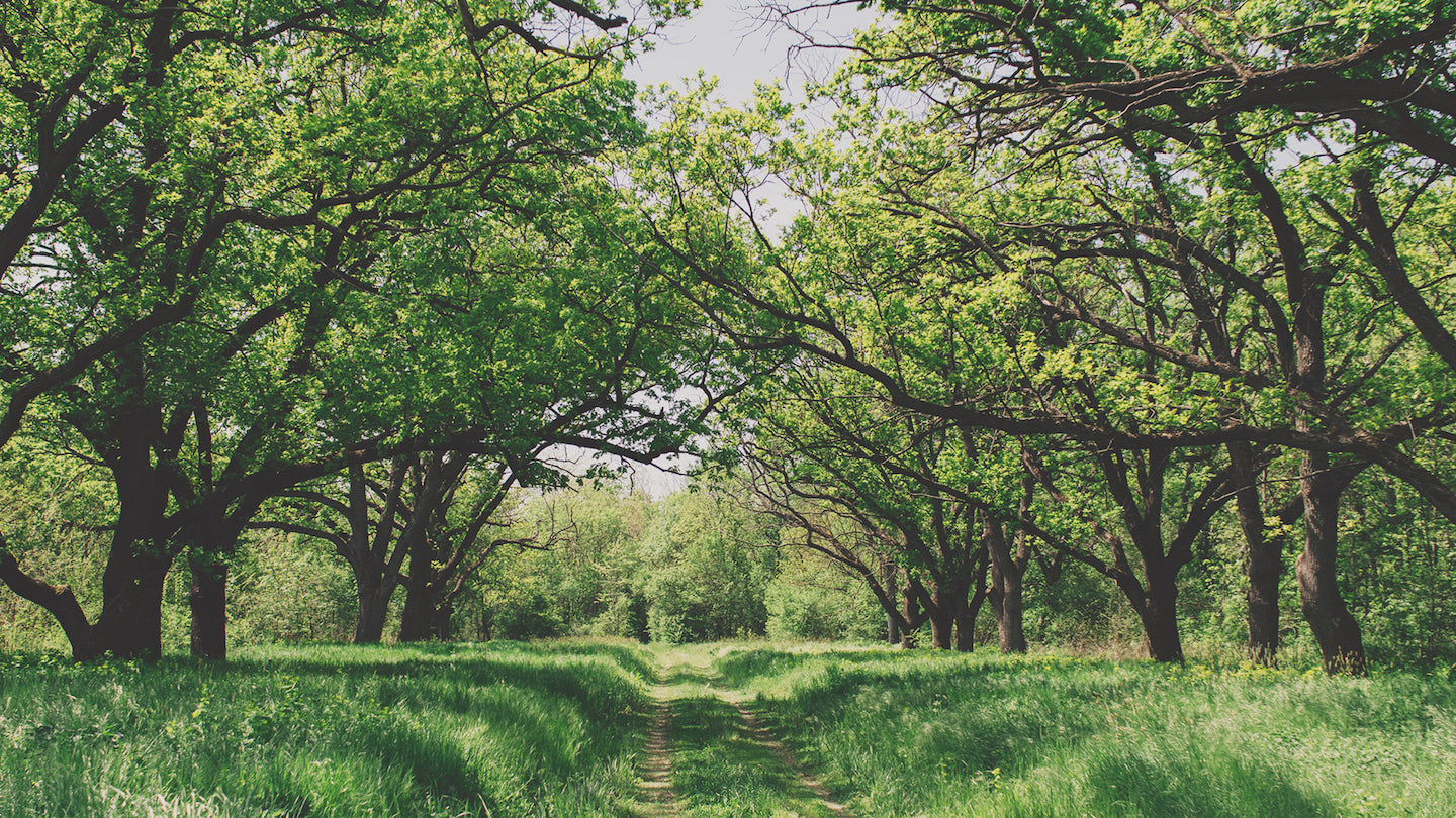 Keep Cool In Your Custom Tent