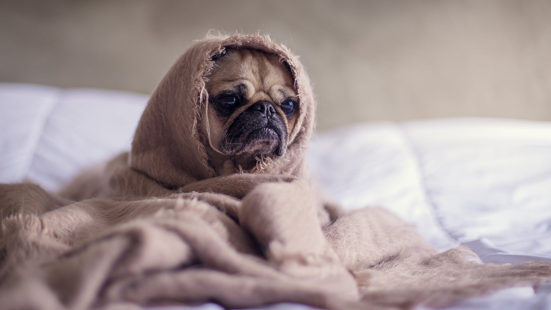 Things To Do When it’s Too Cold To Go Outside