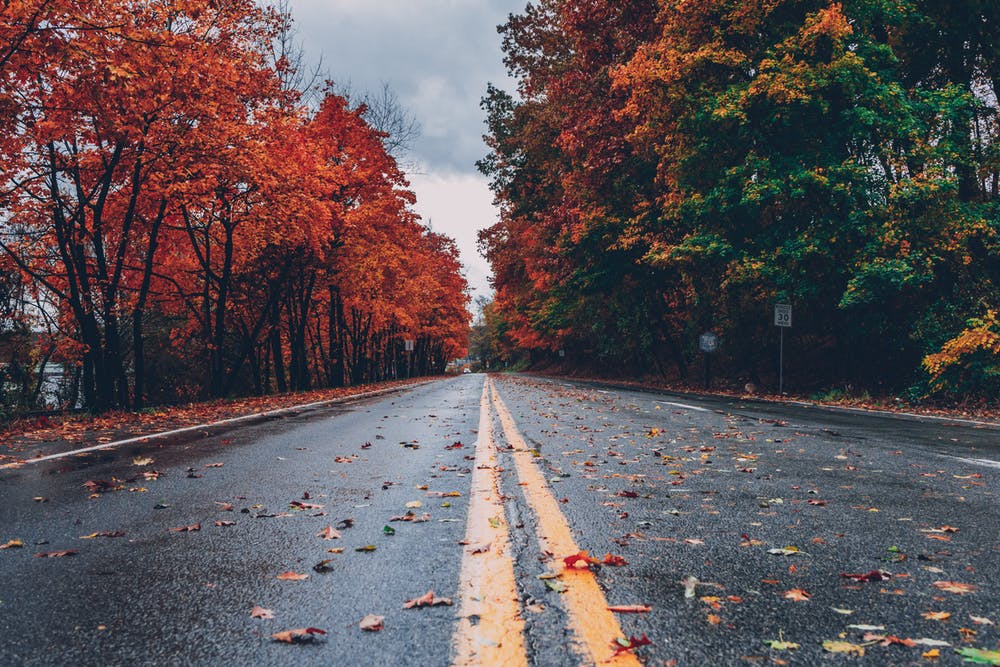 Fall Holiday Necessities