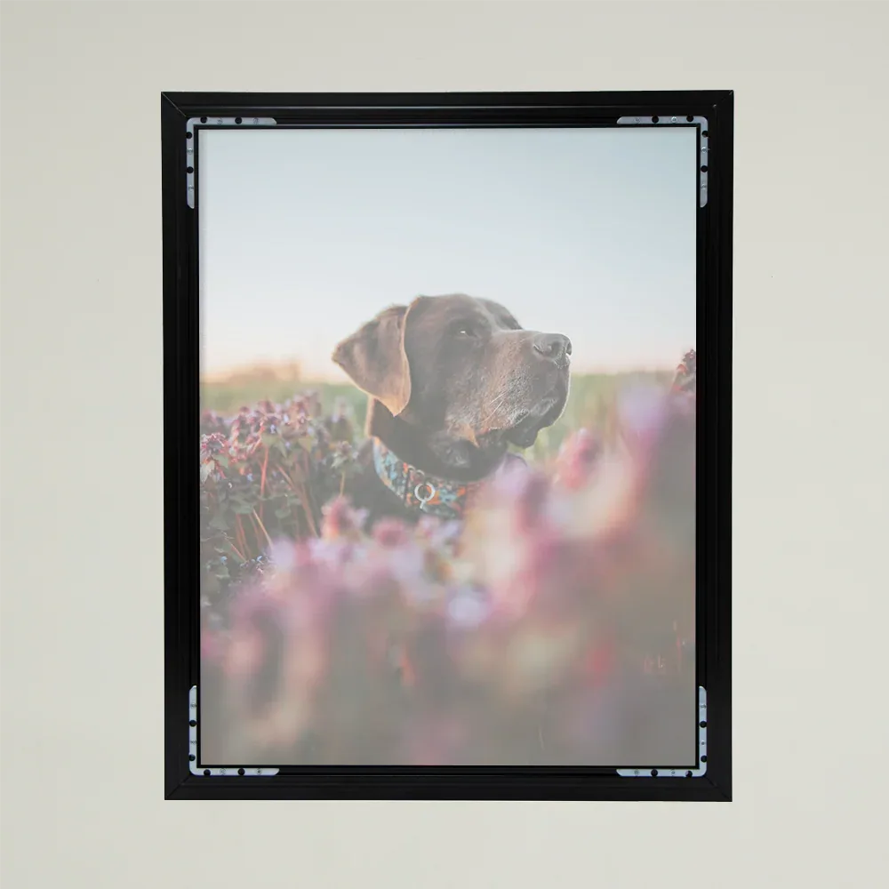 lux wall art collage 3