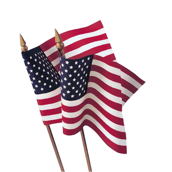 USA 4" x 6" Stick Flag