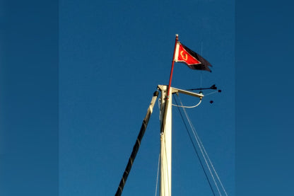 Custom Burgee Flag - BestFlag.com