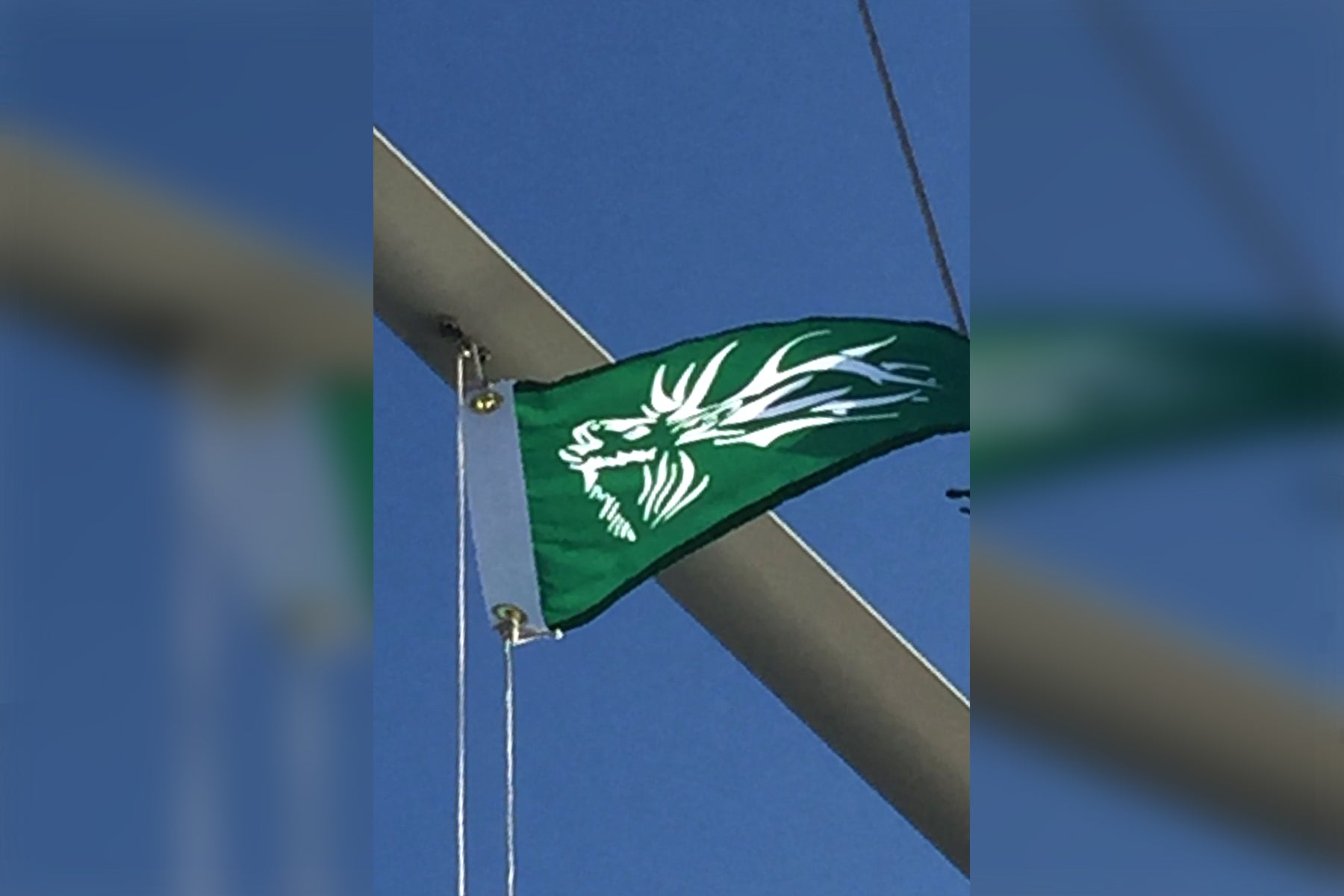 Custom Burgee Flag - BestFlag.com