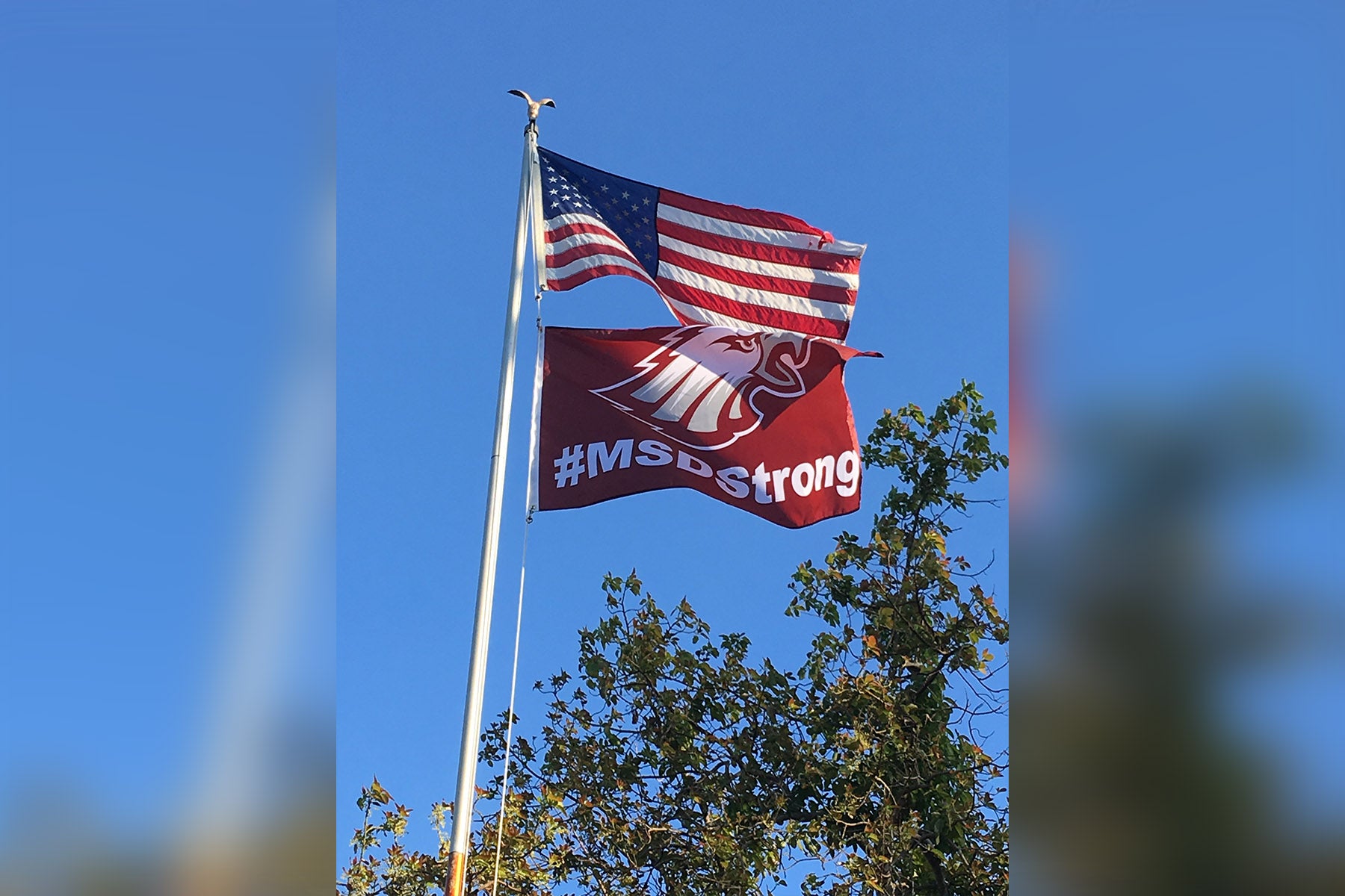 Stoneman Douglas #MSDStrong - BestFlag.com