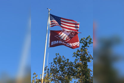 Stoneman Douglas #MSDStrong - BestFlag.com