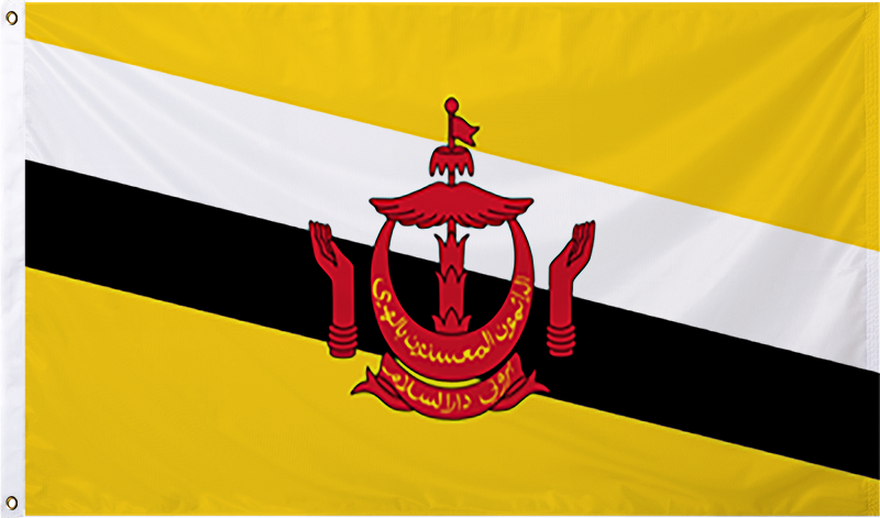 Brunei International Flag