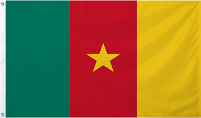 Cameroon International Flag
