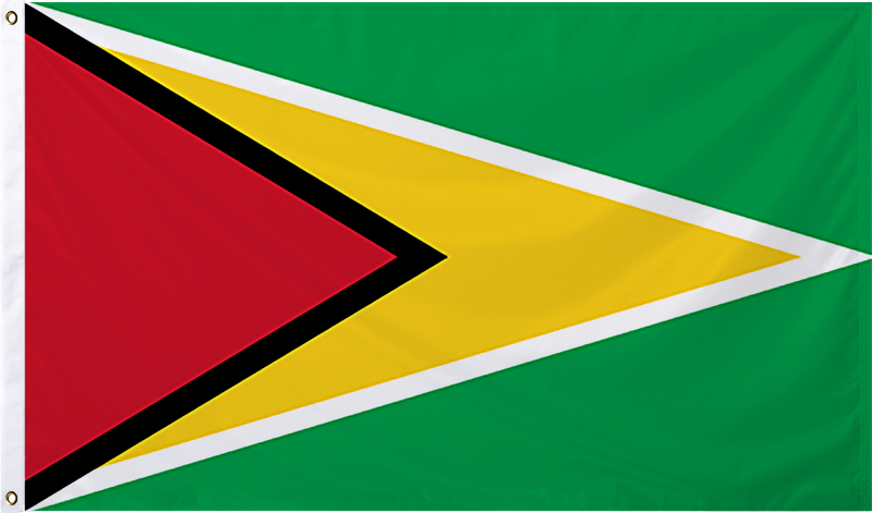 Guyana International Flag