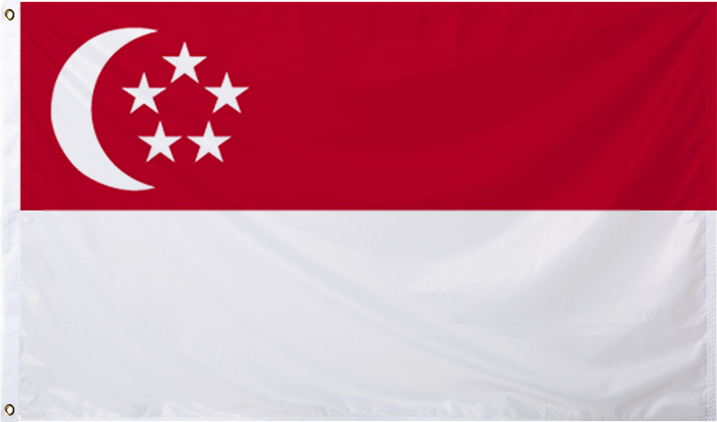 Singapore International Flag
