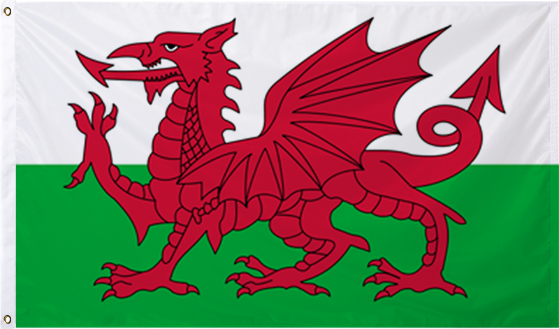 Wales International Flag